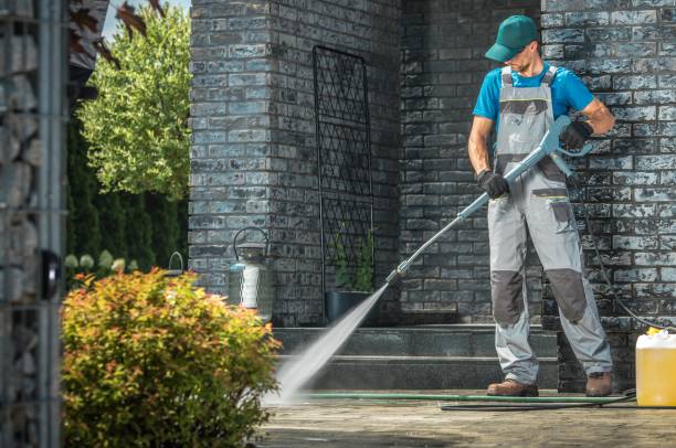 Best Roof Washing  in Thomasville, AL