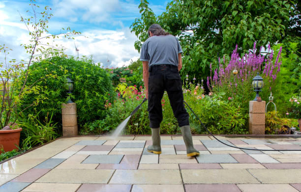 Professional  Pressure Washing Services in Thomasville, AL